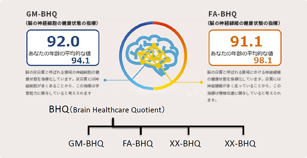 BHQの分類図