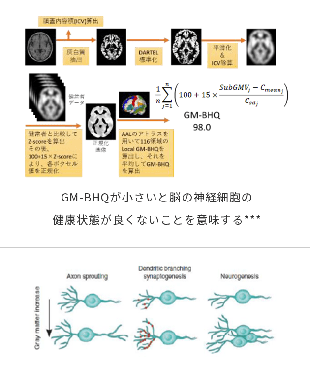 脳の神経細胞の健康状態の指標を表した図