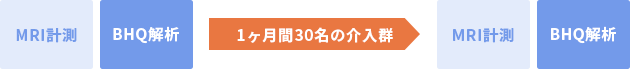 予備的BHQ製品評価を表した図