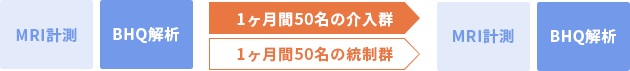 本格BHQ製品評価を表した図